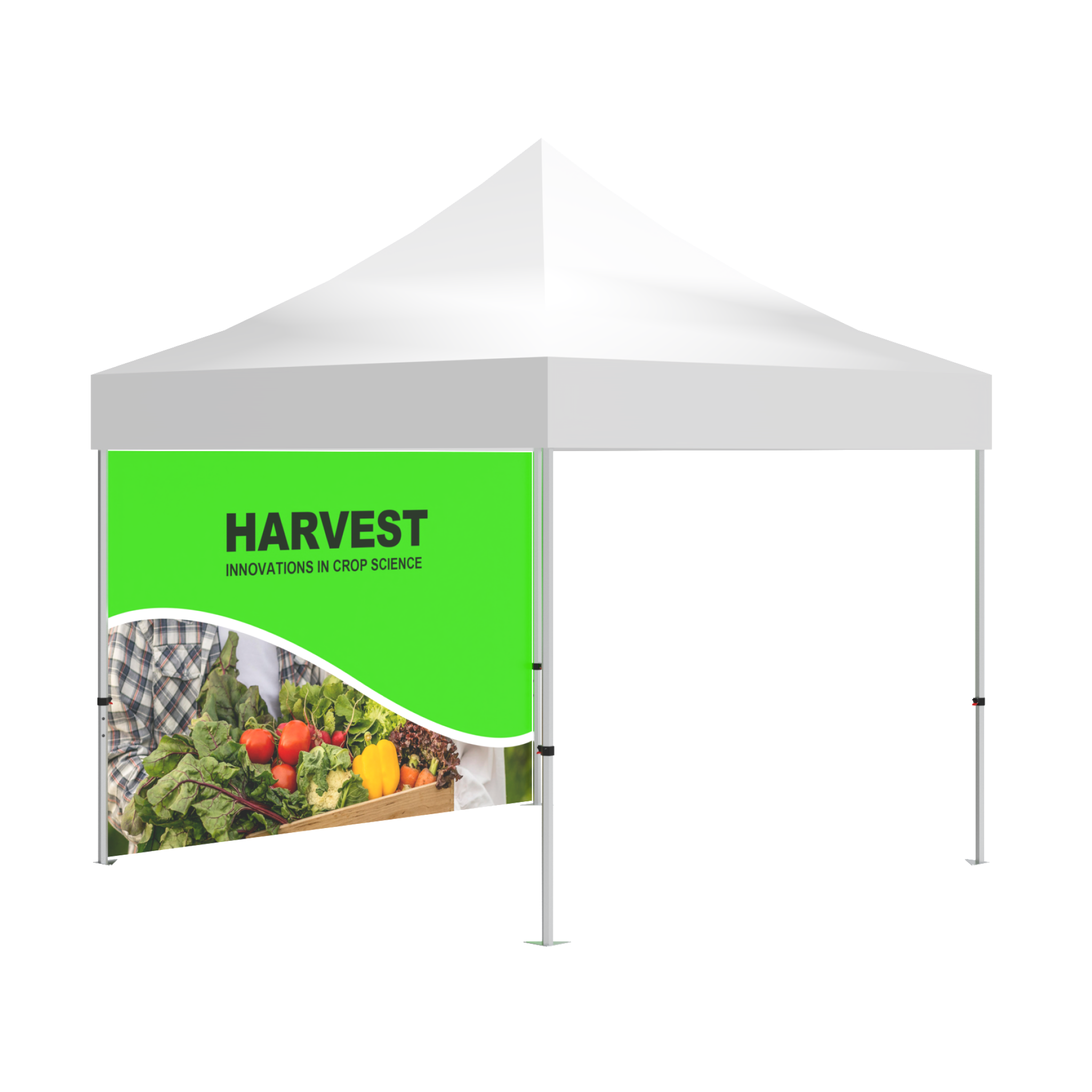 10x10 Custom Canopy Tent Full Sidewall
